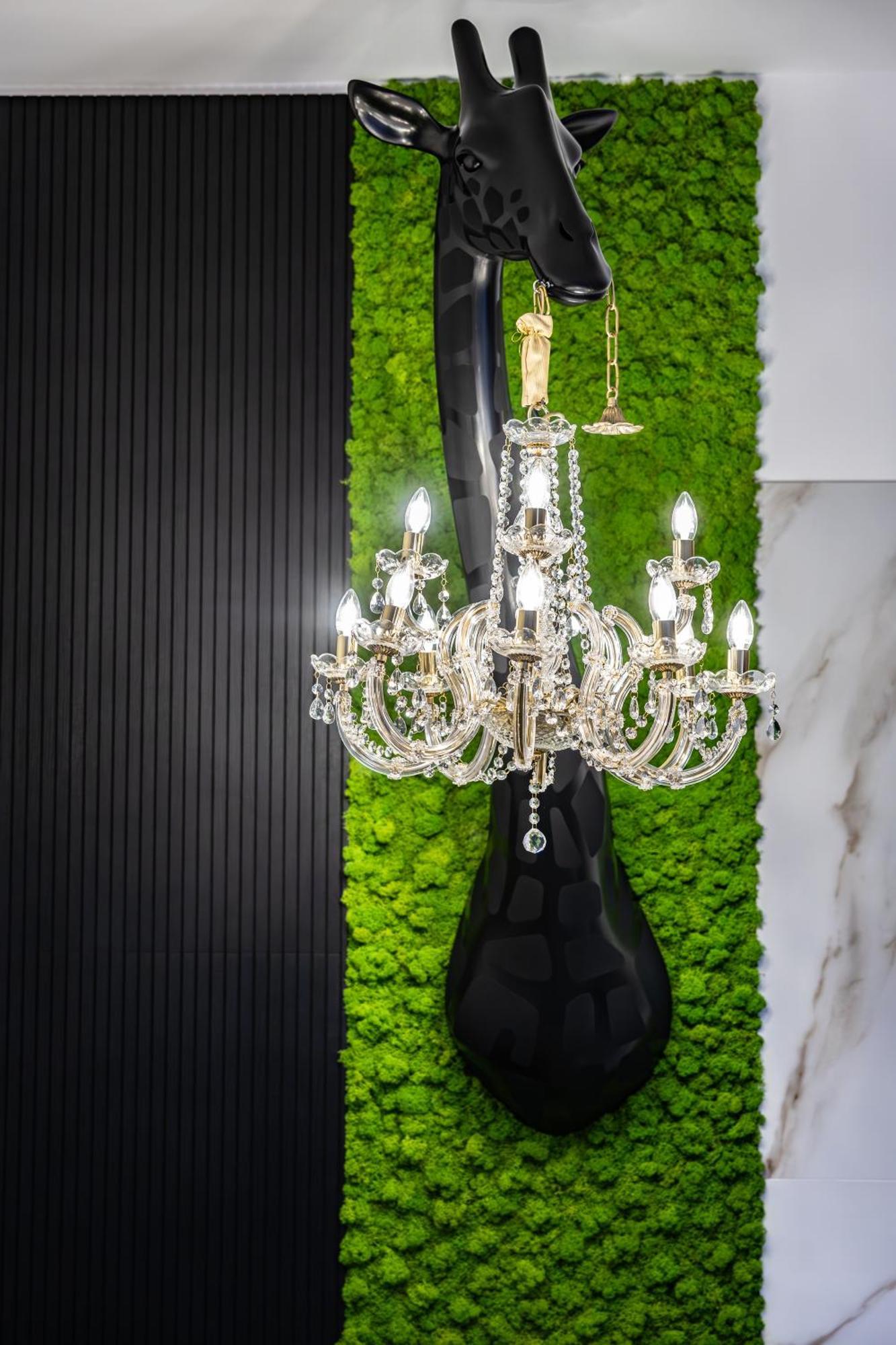 Adamas Apartment , Rooms And Suite تراباني المظهر الخارجي الصورة